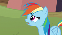 Rainbow asks Lightning Dust about Scootaloo S8E20