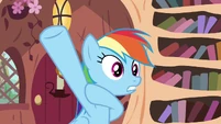 Rainbow raising her hoof S4E21