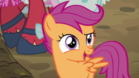 Scootaloo "we've been training all week!" S5E17