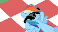 710px-Rainbow Dash chillin' S02E03