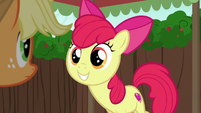 Apple Bloom grinning eagerly at Applejack S6E14