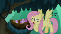 Fluttershy "learn that kind of language" S8E13