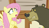 Fluttershy asking Harry about her hiding place S5E21