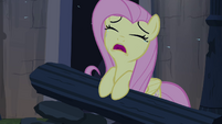 Fluttershy crying S04E03