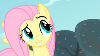 Fluttershy grinning S4E07