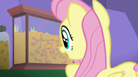Fluttershy looking at an ant farm S5E19