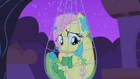 Fluttershy trapped in her trap close-up S1E26