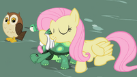 Fluttershy with Tank S2E07
