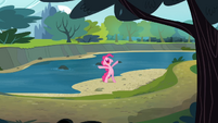 Pinkie Pie 'Family river trip!' S4E09