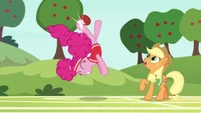 Pinkie bucks ball with somersault kick S6E18.png (865 KB)