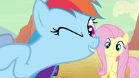 Rainbow Dash come in S2E14