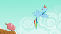 Rainbow Dash laughing at Applejack S6E15