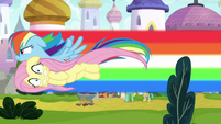 Rainbow and Fluttershy fly past Zephyr S9E4