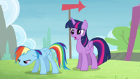 Twilight 'Some ponies do what' S4E10