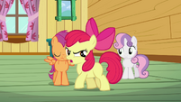 Apple Bloom 'We're not gonna be a bunch of tattle-tales!' S3E04