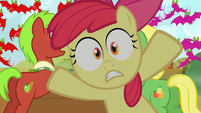 Apple Bloom Everypony jump out S03E08