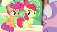 Apple Bloom and Scootaloo excited S4E19
