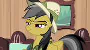 Daring Do smirking confidently S6E13