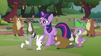 Twilight and the animals.