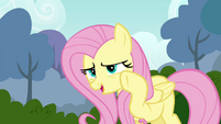 Fluttershy "perhaps just a little bit quieter" S4E16