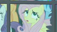 Fluttershy 'Should we go and help her...' S4E04
