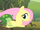 Fluttershy apologizing to the frog as they run away from the hydra S1E15.png