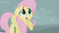 Fluttershy scared by Gilda S1E05