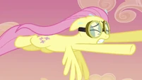 Still hasn't noticed the other pegasi stopped.