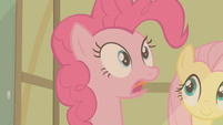 Pinkie Pie two new foals S2E13