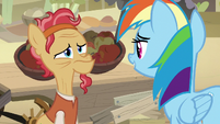 Rainbow Dash approaches an elderly merchant S7E18