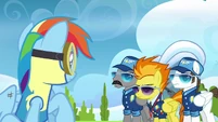Rainbow and Spitfire looking at each other.