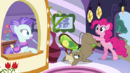 S02E18 Pinkie przyprowadza Cranky'ego do spa