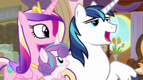 Shining Armor "only you would remember" S7E22