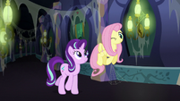 Starlight and Fluttershy help animals together S6E21