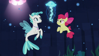 Terramar and Apple Bloom look at jellyfish S8E6