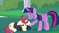 Twilight "don't let my mistake be the reason" S5E12