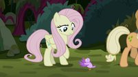 Bird tweeting at fake Fluttershy for help S8E13