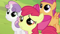 Cutie Mark Crusaders after being rejected by Applejack S2E23