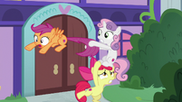 Cutie Mark Crusaders start to fall over S8E12