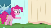 Pinkie points at the curtain S5E11