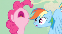 Rainbow Dash "what" face to Pinkie Pie S02E14