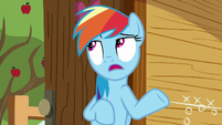 Rainbow Dash acting nonchalant S8E20