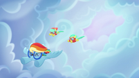 Rainbow and Barrel twins dive out of the sky MLPRR