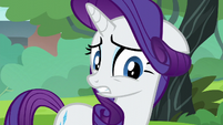 Rarity looking for a distraction S6E3