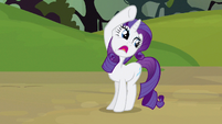 Sadly, Rarity is interrupted.