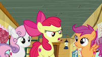 Apple Bloom "But we're the Cutie Mark Crusaders!" S6E4