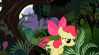 Apple Bloom continues walking S2E06