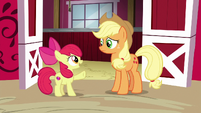 Apple Bloom interrupts Applejack S6E14