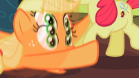 Applejack being shaken by Apple Bloom S2E06