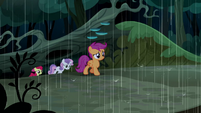 Cutie Mark Crusaders still lost S5E6